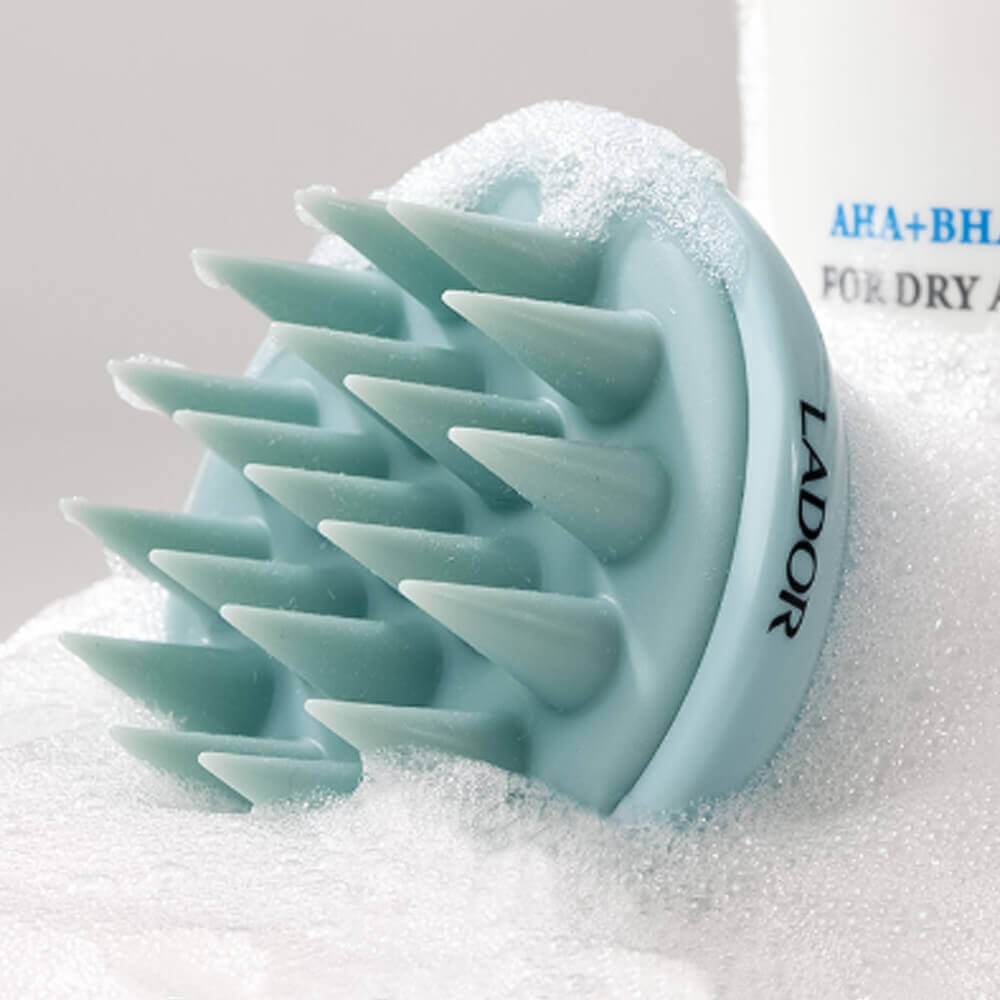LADOR Dermatical Shampoo Brush galvos odos masažuoklis